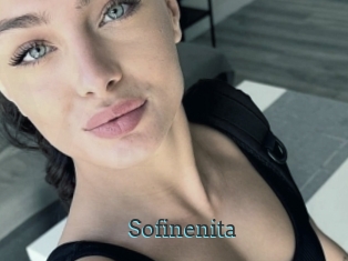Sofinenita