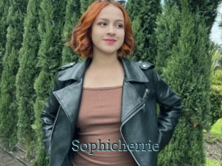 Sophicherrie