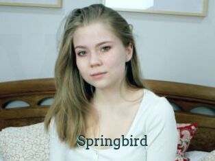 Springbird