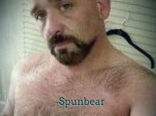 Spunbear