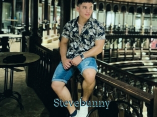 Stevebunny