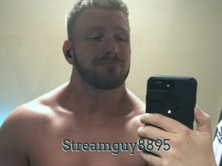 Streamguy8895