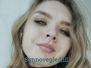 Synnovegledhill