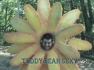 TEDDY_BEAR_SEXY