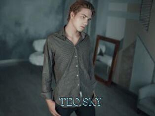 TEO_SKY