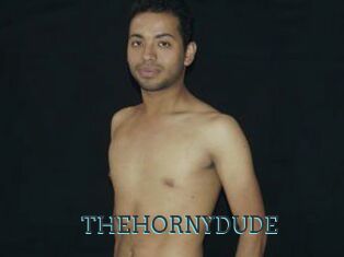 THEHORNYDUDE