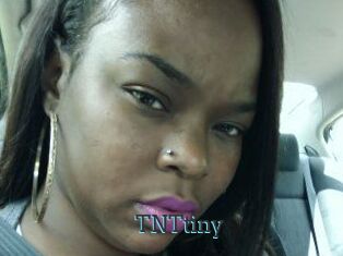 T_N_Ttiny