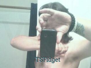 TSFidget