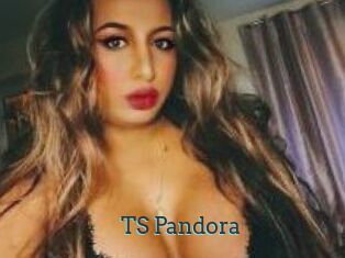 TS_Pandora