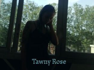 Tawny_Rose