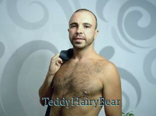 TeddyHairyBear