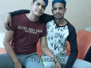 Tegusta29xx