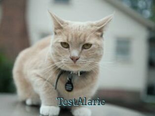 TestAlaric