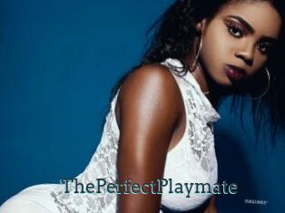 ThePerfectPlaymate