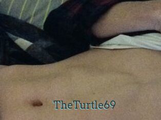 TheTurtle69