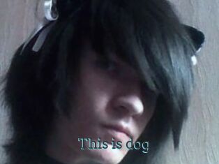 This_is_dog