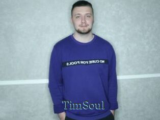TimSoul