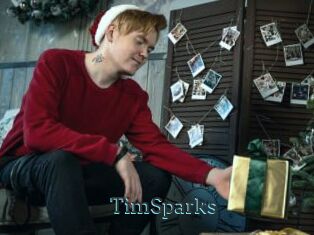 TimSparks
