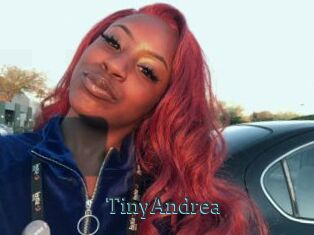 TinyAndrea