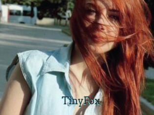 TinyFox