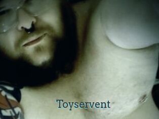 Toyservent