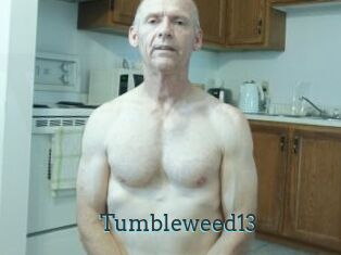 Tumbleweed13