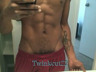 Twinkcut22
