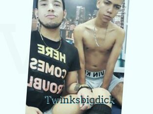 Twinksbigdick