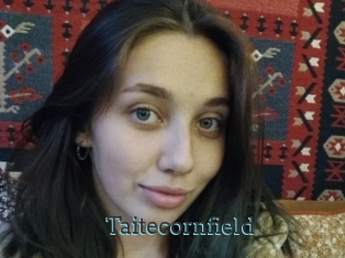 Taitecornfield