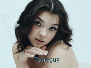 Taiteguy