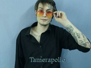 Tamerapollo