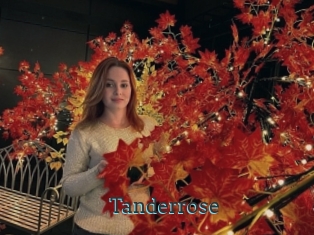 Tanderrose