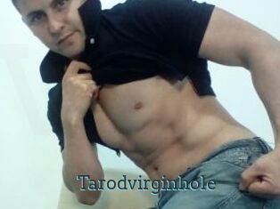 Tarodvirginhole