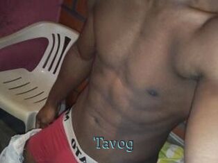 Tavog
