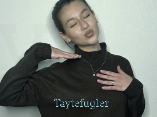 Taytefugler