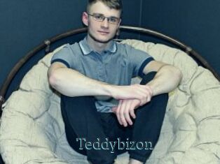 Teddybizon