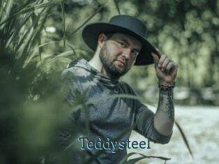 Teddysteel