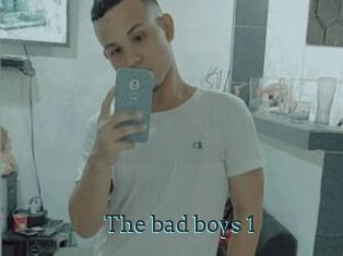 The_bad_boys_1
