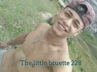 The_little_bruette_228