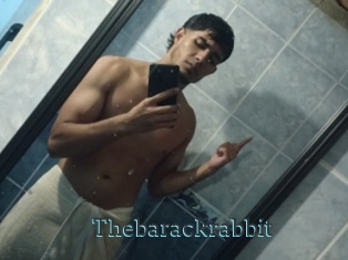Thebarackrabbit