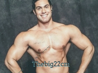 Thebig22cm