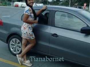 Tianabornet