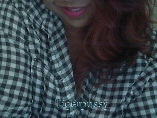Tigerpussy