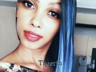Tijgerin