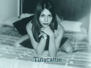 Tinacattie