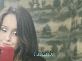 Tinamit