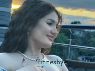 Tinneshy