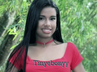 Tinyebonyy