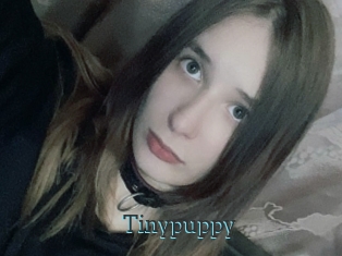 Tinypuppy