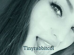Tinyrabbitcol